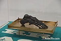 VBS_8563 - Artissima 2022 - Ventinovesima Edizione